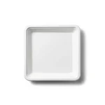 6 Inch Square Bagasse Disposable Plates for Birthday Wedding Party Catering & Events