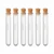 Bello Set of 12- Borosilicate Glass Test Tube 15X125mm with Wooden Cork Stoppers (6pcs Test Tube, 6pcs Cork)