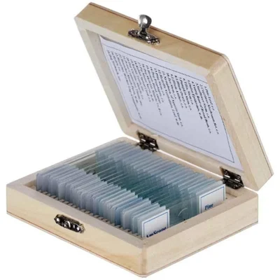 BEXCO 25 Pcs Botany Prepared Slide Set for Zoology