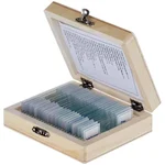 BEXCO 25 Pcs Botany Prepared Slide Set for Zoology
