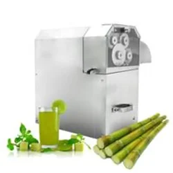 Commercial Electric Sugarcane Juice Extractor 500 kg per hr