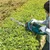 Makita Electric Hedge Trimmer With 16.5 Inch Bar Length | UH4261
