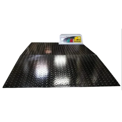 Everfast 1000kg 1 Ton Capacity Industrial Weighing Anti Skid Checker Plate Platform Green LED Display With Built In Ramp