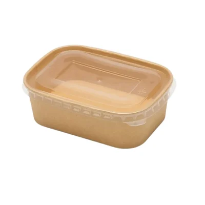 Pack of 1000| 500 ml Disposable Kraft Rectangle Container with Lid For Food Truck Picnic