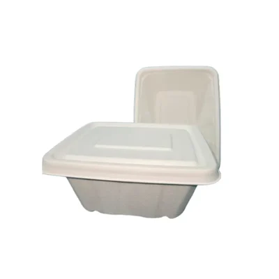 Pack of 1000| 650 ml Disposable White Rectangle Container with Lid For Food Truck Picnic