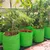 Siddhi 350 GSM 24 x 24 inch HDPE Grow Bag for Garden, Nursery (Pack of 100 pieces)
