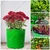 Siddhi 350 GSM 18 x 18 inch HDPE Grow Bag for Garden, Nursery (Pack of 100 pieces)