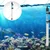RS 100 watt Hang-on Immersion Aquarium Heater with Auto Indication Light