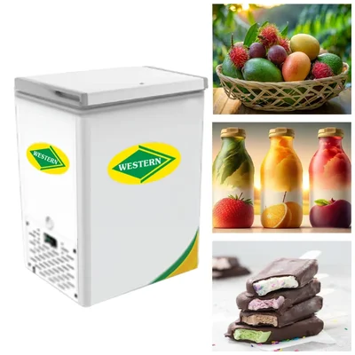 WESTERN D150H164, 106 L Single Door Convertible Deep Freezer