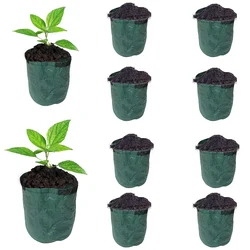 Pack of 10 Pcs of Wet Free Grow Bags, HDPE Fabric Material and UV Protected(Size-5 L (6 inch X 12 inch))