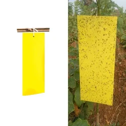 12 Pieces of Sticky Trap 22 cm x 28 cm (Color-Yellow)