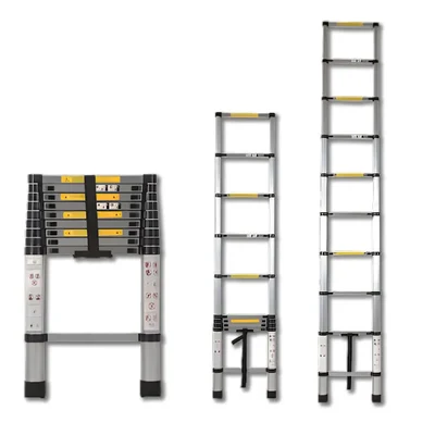Bigapple 10-Step 150 Kg Load Capacity 2.9 Meter (10Ft) Foldable Telescopic Ladder For Multipurpose Uses