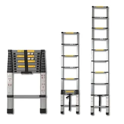 Bigapple 10-Step 150 Kg Load Capacity 2.9 Meter (10Ft) Foldable Telescopic Ladder For Multipurpose Uses