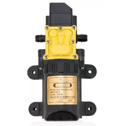 RAINMARK 12V DC Battery Spray Pump Motor (Pressure-120 PSI)