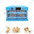 128 Eggs Rolling Type Automatic 80W Egg Incubator With Plastic Body