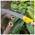 8 Inch Harden Razor Tooth Folding Hand Saw Portable Garden, Camping & Pruning Tool(Pack-1 pc)