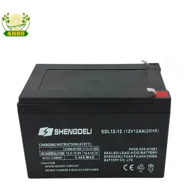 SHENGDEL 12 Volt, 12 Amp D.C Battery for Battery Sprayer