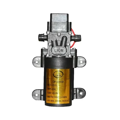Lion 12V Single Motor with 4 LPM Flowrate and 0.65MPA Pressure for Batttery Operated Agricultural Sprayer 