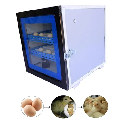 Commercial Fully Automatic Egg Incubator, 140 Eggs Capacity
