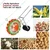Really MTS-MS-14T-MULTI Hand Operated 14 Teeth Manual Seeder, (Only Seeder)