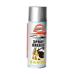 Evershine 150 ml Premium Spray Grease