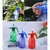 Premium Quality 1.5 L Garden Pressure Sprayer for Lawn and Gardening, Plant Flowers Pestides and Fertilizers  Spray