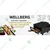 Wellberg 16 Inch Electric Tandoor with Big Size Tray, 2000W