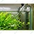 Glass Lily Pipe Inflow Outflow for Canister Filter (16 mm) Aquarium Tool to Create a Moderate Circulation of Water Within The Aquarium Ideal For the Growth of Aquatic Plants