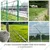 Premium Quality 175 Feet 14 Gauge Galvanized Barbed Fencing Wire with Handle, 2mm Wire Thickness - 10 Years Warrenty