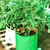Siddhi 350 GSM 18 x 18 inch HDPE Grow Bag for Garden and Nursery (Pack of 10 pieces)