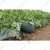 Vihaan 18 Micron Silver/Black Agricultural Mulching Sheet, Mulch Film For Musk Melon & Watermelon(Size-3.25 feet x 400 meters)