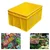 Premium Quality 19 Liter 400x300x220 mm Rectangular Crate
