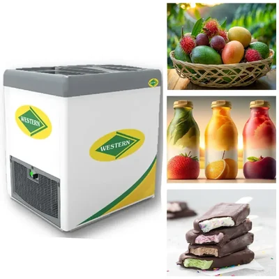 WESTERN F250GL25 Sliding Glass Top Door 192L Showcase Freezer for Ice Cream Parlour and Supermarkets