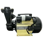 Heavy Duty 1Hp Single Phase Aluminium Winding Self-Priming Monoblock Pump, 34m Head, 25x25mm - 1 Year Warranty