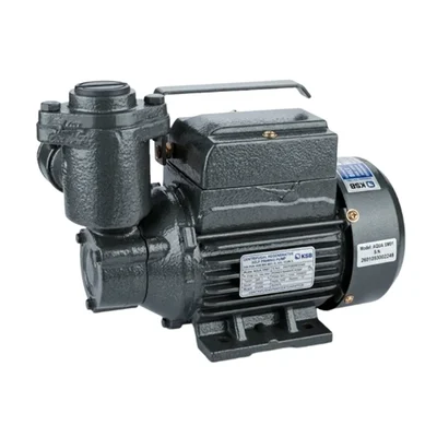 KSB 1.0 HP 0.75kW 220V Single Phase Cast Iron Self Priming Water Pump AQUA SUMO I