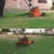 Unison 12 inch Electric Lawn Mower with 1 HP Crompton Motor With Adjustable Cutting Height