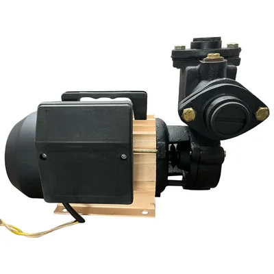 Heavy Duty 1Hp Single Phase Copper Winding Self-Priming Monoblock Pump, 34m Head, 25x25mm - 1 Year Warranty