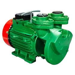 Lakshmi 1Hp Single Phase V-Type Self Priming Monoblock Pump, Copper Winding, 30m Max. Head, 25x25mm - 1 Year Warranty