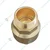 Premium Quality 1 inch Brass NRV Valve 