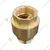 Premium Quality 1 inch Brass NRV Valve 