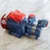 RAHI 0.5Hp 1Phase Copper Winding High Suction Self Priming Monoblock Pump, 22m Head, 15x15mm, CI Body - 1 Year Warranty