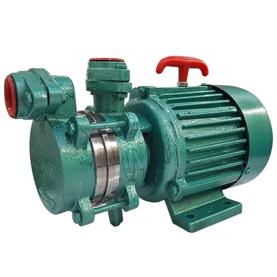 Enjoy 0.5Hp 1Phase Copper Winding High Suction Self Priming Monoblock Pump, 22m Head, 15x15mm, CI Body - 1 Year Warranty