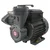 XLO 0.5Hp 1Ph Self Priming Monoblock Pump With 100% Copper Winding, 32m Head, 2800LPH, 25x25mm (DIAMOND)-1 Year Warranty