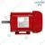 Godrej Lawkim 2 HP 4 Pole Single Phase Foot Mounted AC Electric Motor With 1 Year Warranty (LM200LK3523CB)