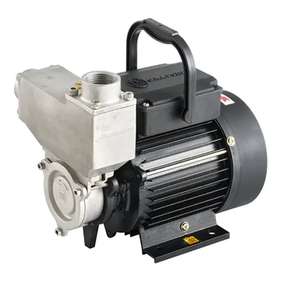 CRI 1 Hp 1Phase Copper Winding Self Priming Monoblock Pump, 30m Head, 25X25 mm (STEELIX MINI 100) - 1 Year Warranty