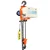 GLOBE 1 Ton 3 Meter Fix Type Electric Chain Hoist With 12 Months Warranty
