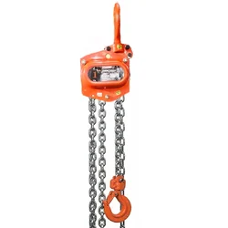 Ferreterro 1 ton Single Fall Chain Pulley Block - Gold (ISI Marked)(Chain Length-3m)
