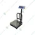 Metis 200 Kg Capacity Brass Material Electronic scale Weighing Machine With 1 Year Warranty