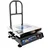 True Weight Bench Foldable Scale Weighing Machine, 200kg Capacity (TWP-200) with 1-Year Warranty