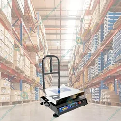 True Weight Bench Foldable Scale Weighing Machine, 200kg Capacity (TWP-200) with 1-Year Warranty